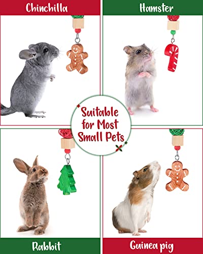 Christmas Guinea Pig Toys 3PCS Y31110