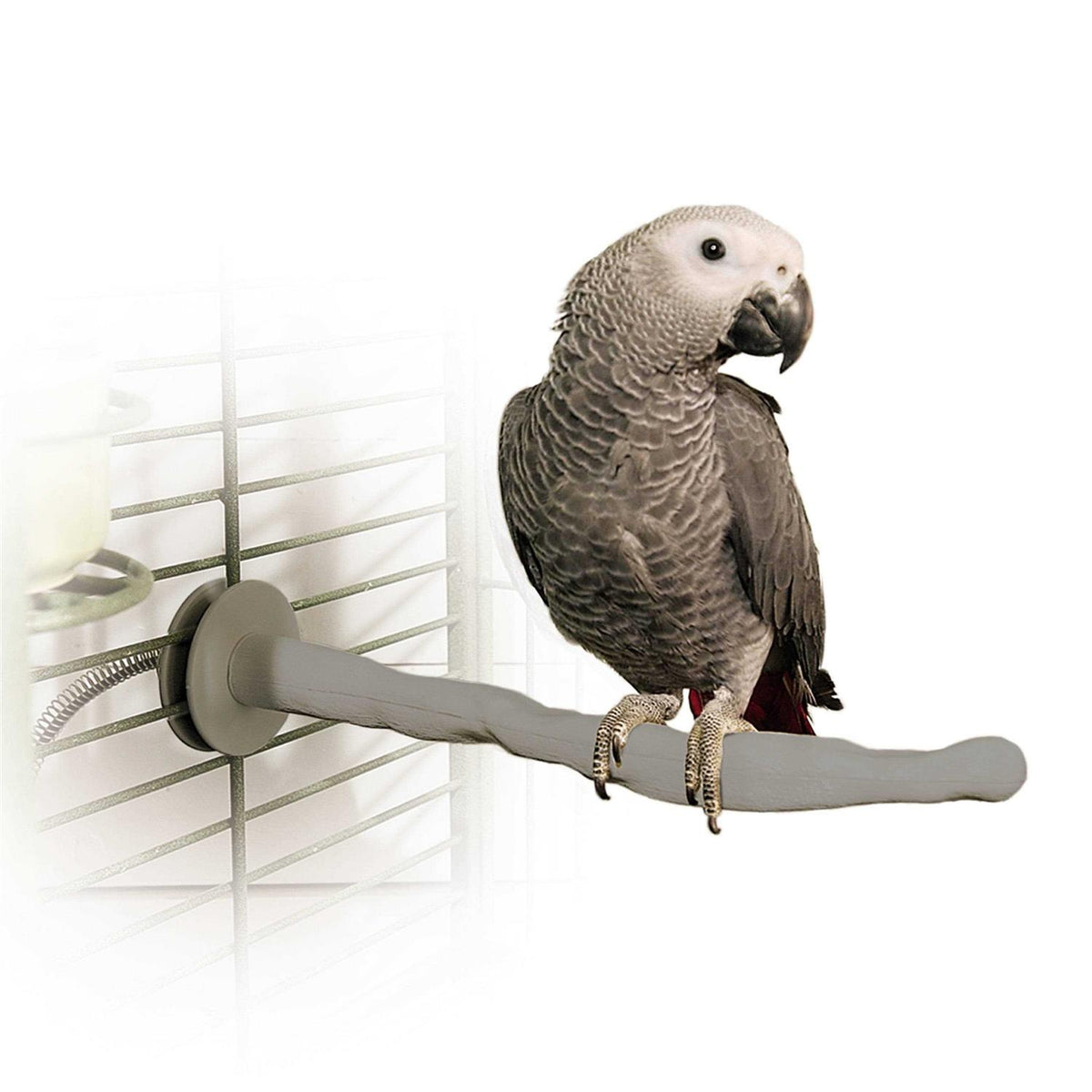 Bird Thermo-Perch J173592