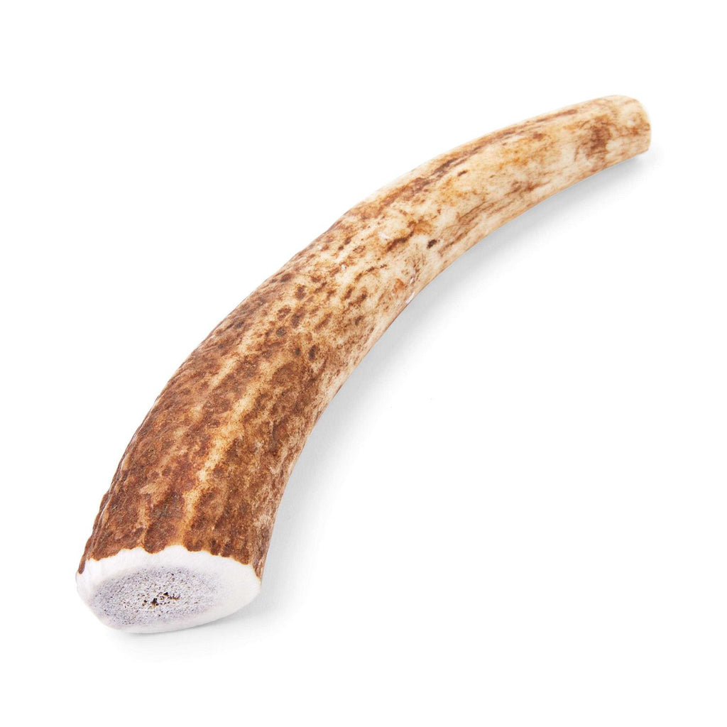 Whole Elk Antler Dog Chew G78318