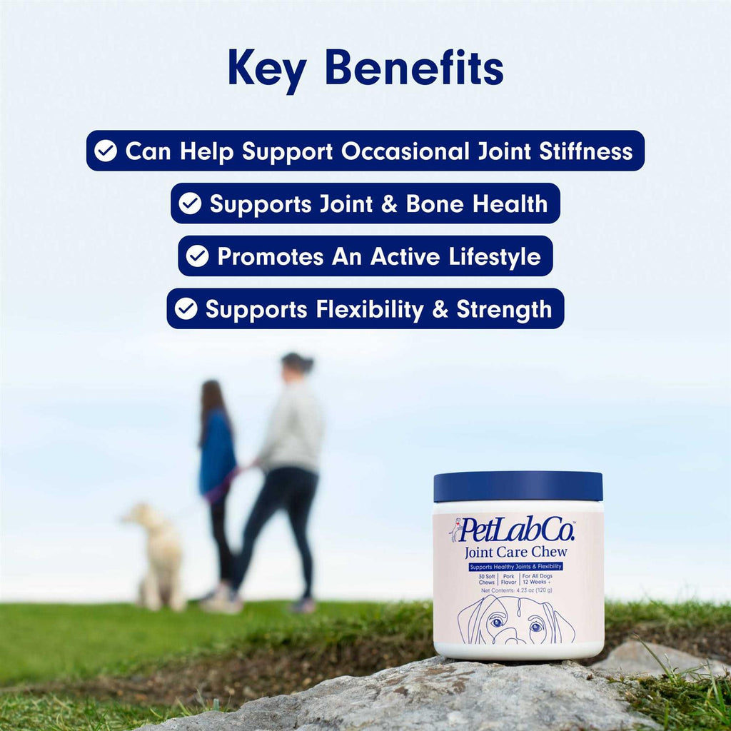 Joint Care Chews for Dogs W893499