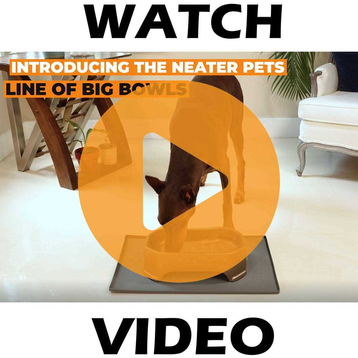 Jumbo Trough Style Dog Water Bowl G339838