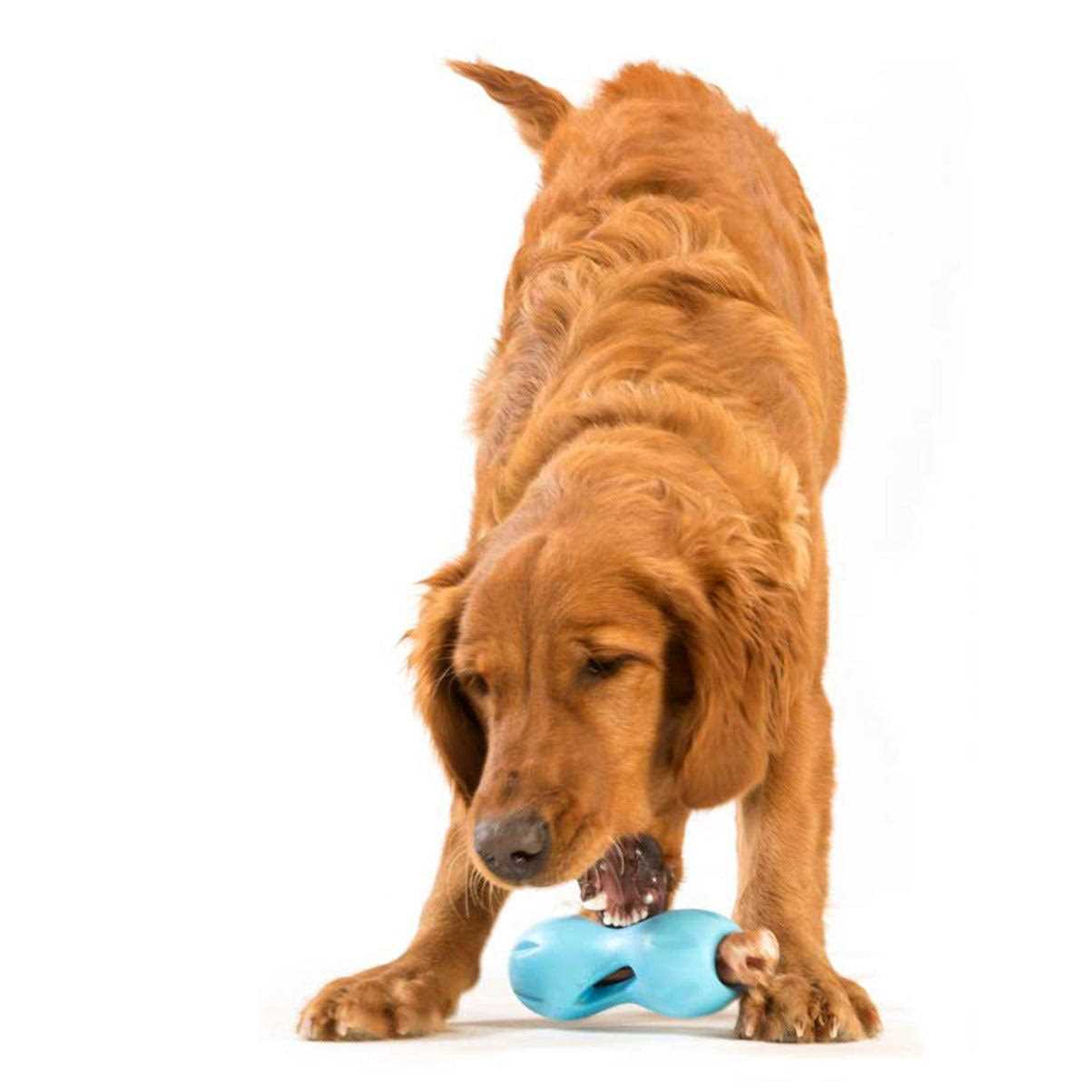 Dog Toy M339