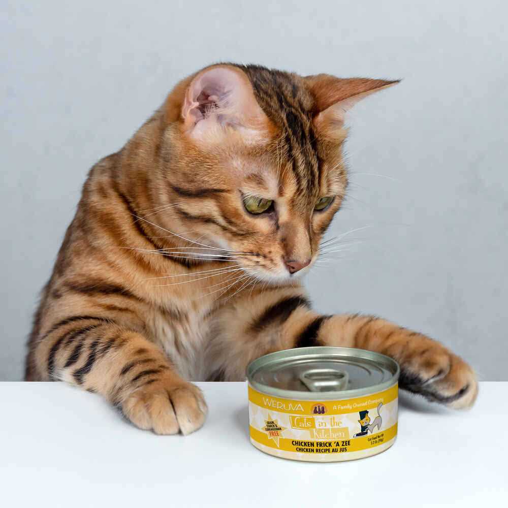 Chicken Cat Food Q284