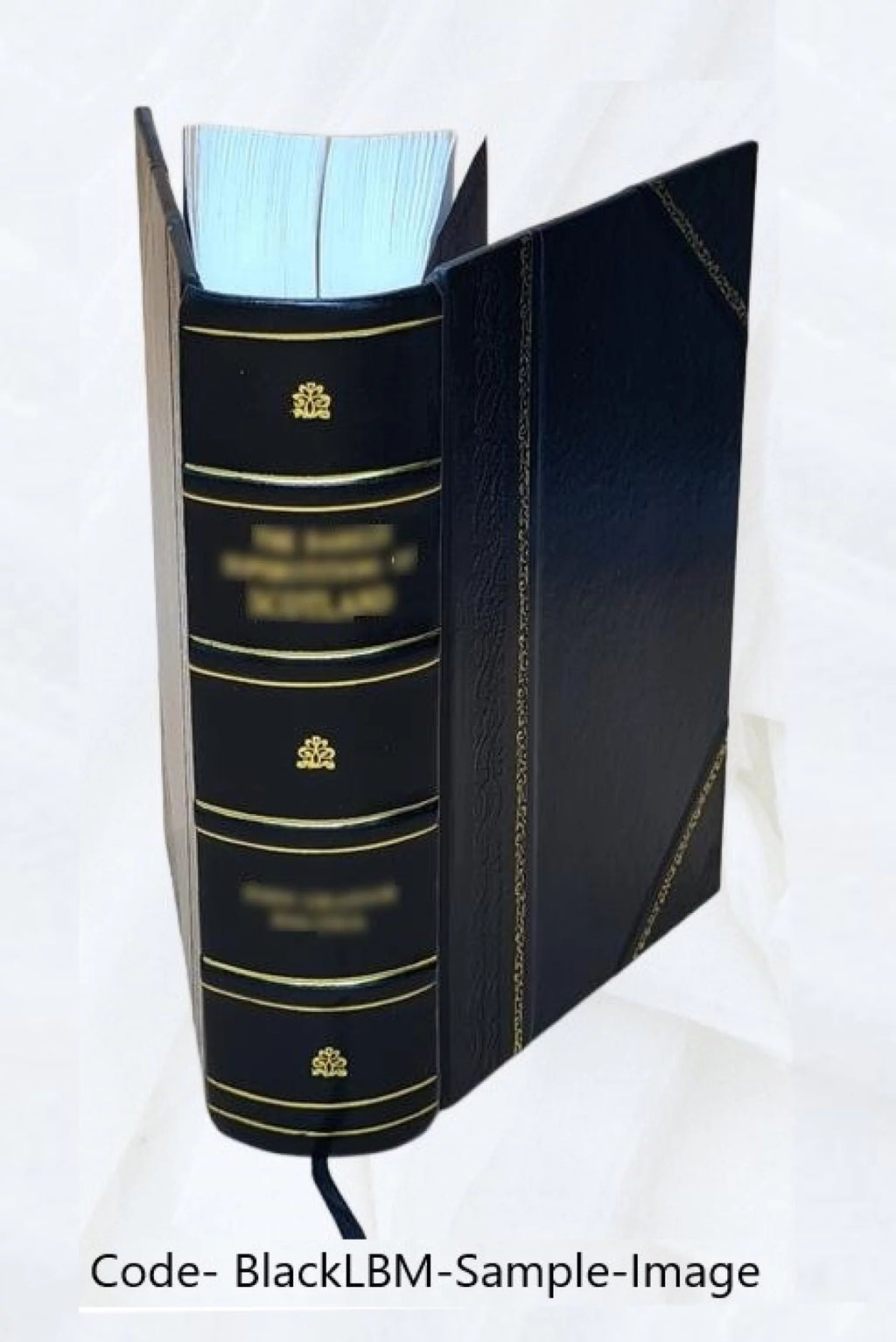 Leather Bound B7201