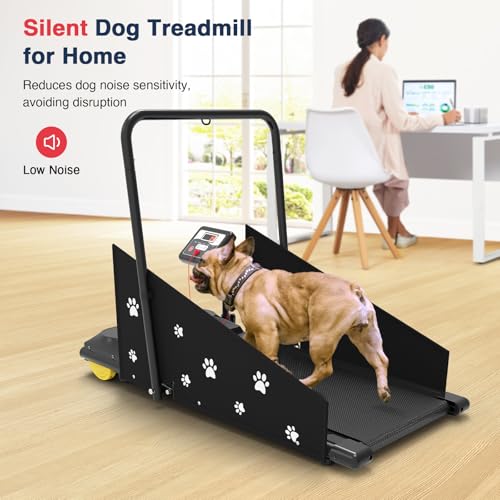 Dog Treadmill with Remote Control & Display Screen X97410