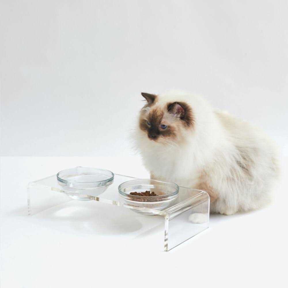 Clear Elevated Glass Bowl Feeder R74310