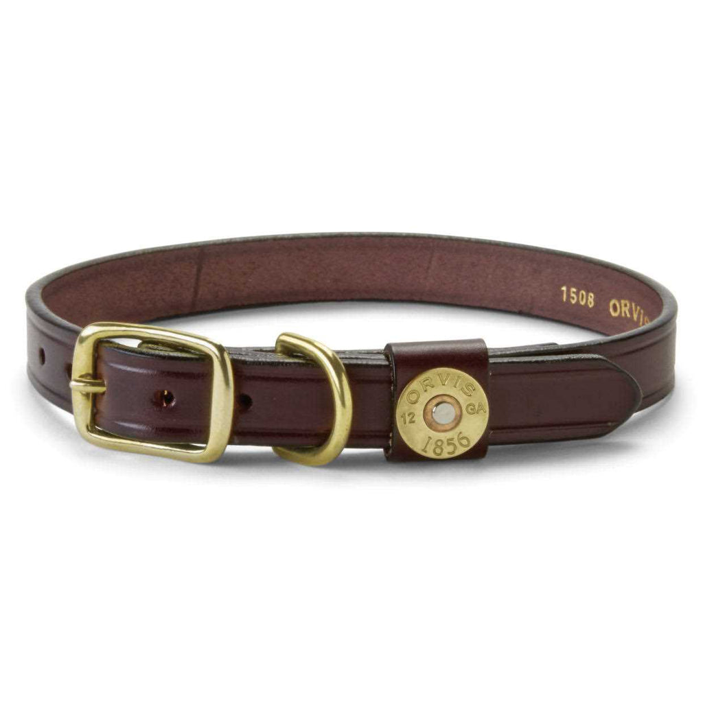 Dog Collar and Leash X1572