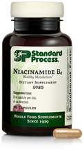 Niacinamide B6 90 Capsules D882