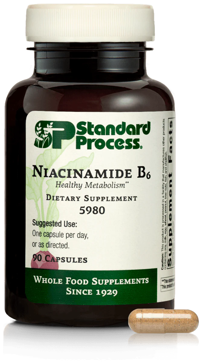 Niacinamide B6 90 Capsules D882
