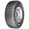 All Season Tire N48698