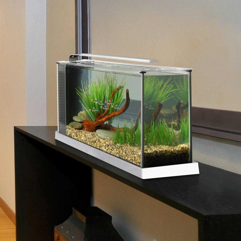 Aquarium X940218