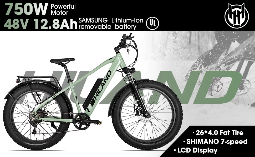 750W 48V 26 Fat Tire Electric Mountain Bike V497913