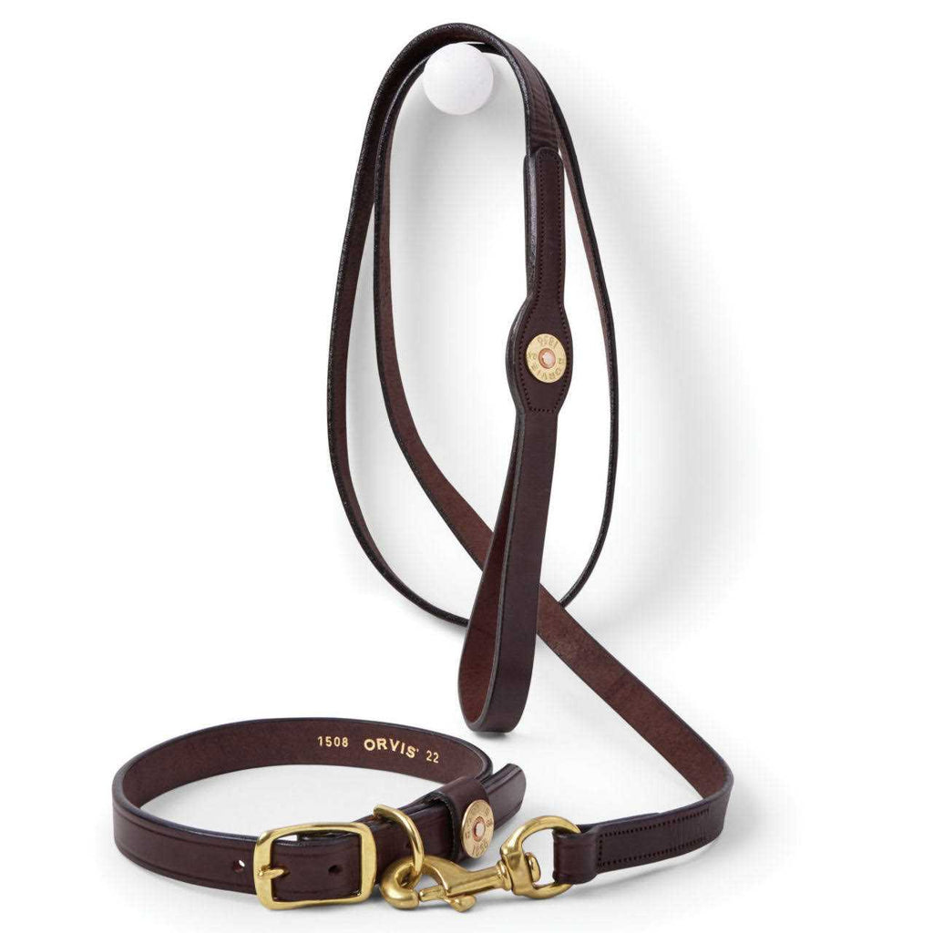 Dog Collar and Leash X1572