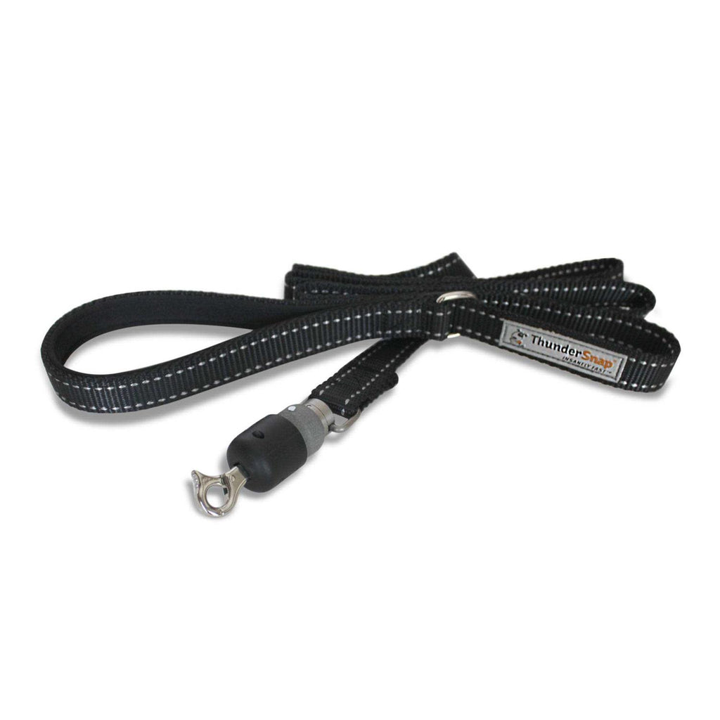 Quick-Connect Dog Leash K575196