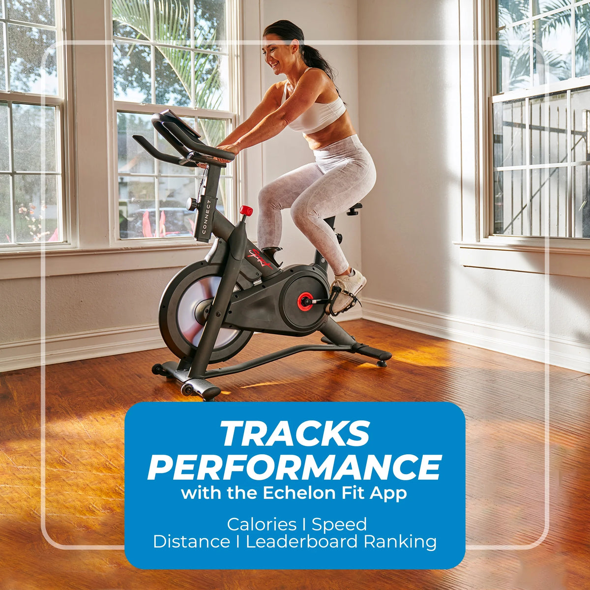 Indoor Cycling Exercise Bike S94087