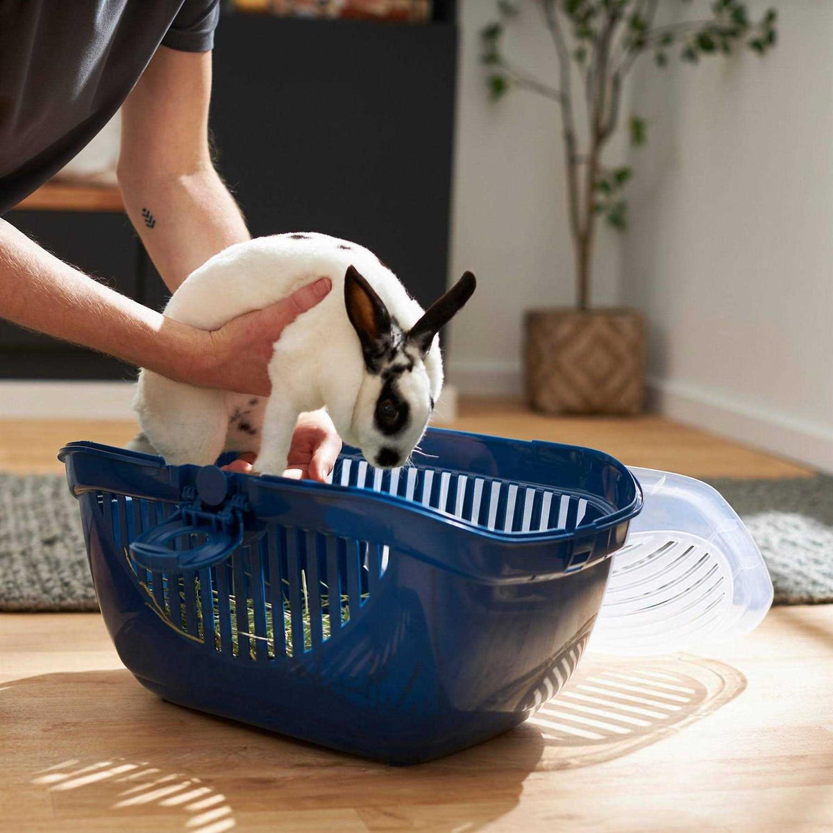 Small Pet Carrier Z168