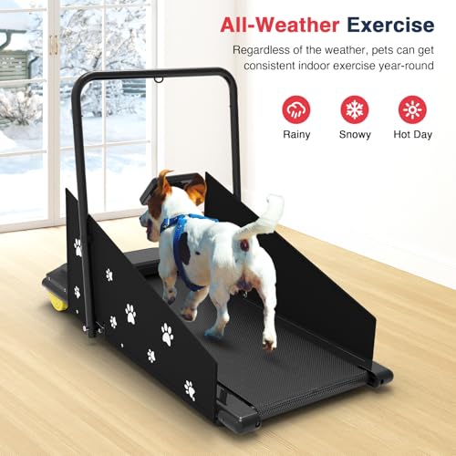 Dog Treadmill with Remote Control & Display Screen X97410
