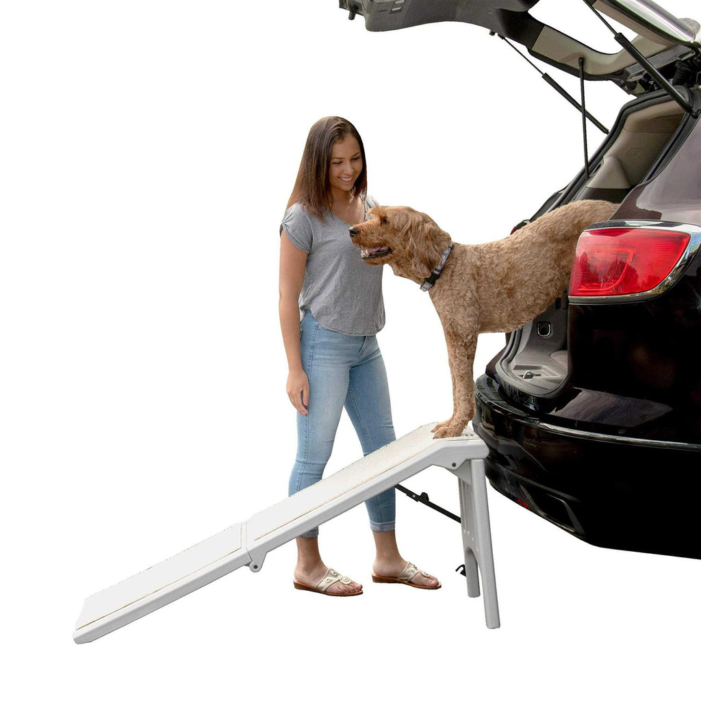 Free-Standing Pet Ramp Y513