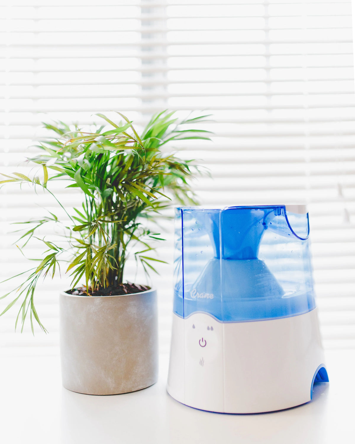 Warm Mist Humidifier K607904