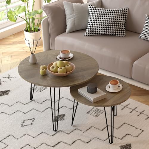 Round Nesting Coffee Table Set of 2 with Marble Tabletop Q854179