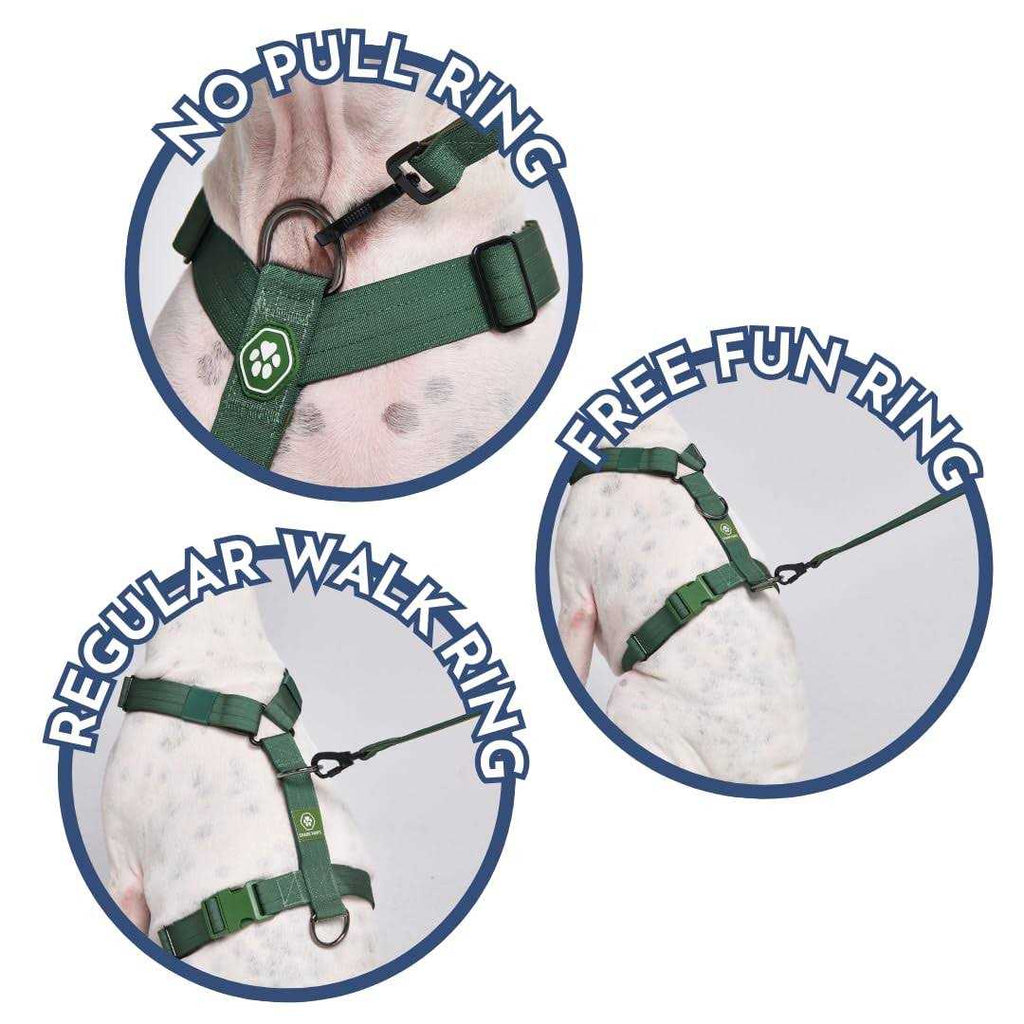 No-Pull Dog Harness D42224