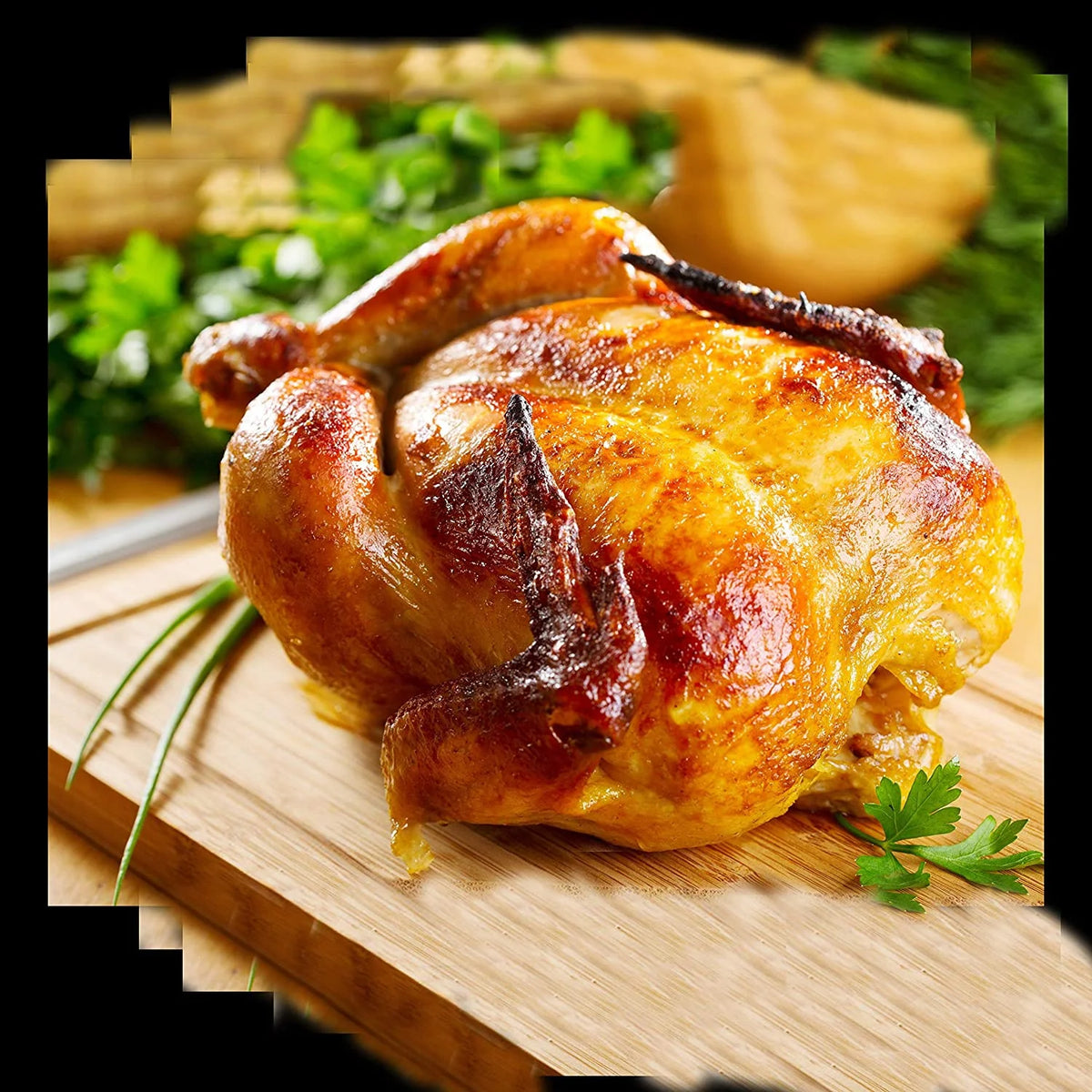 Stainless Steel Beer Can Chicken Roaster T7258