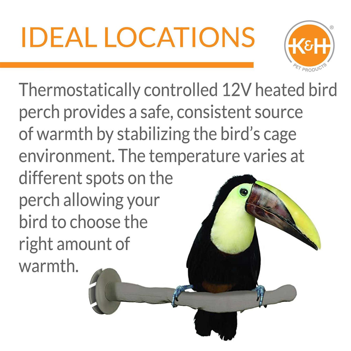 Bird Thermo-Perch J173592