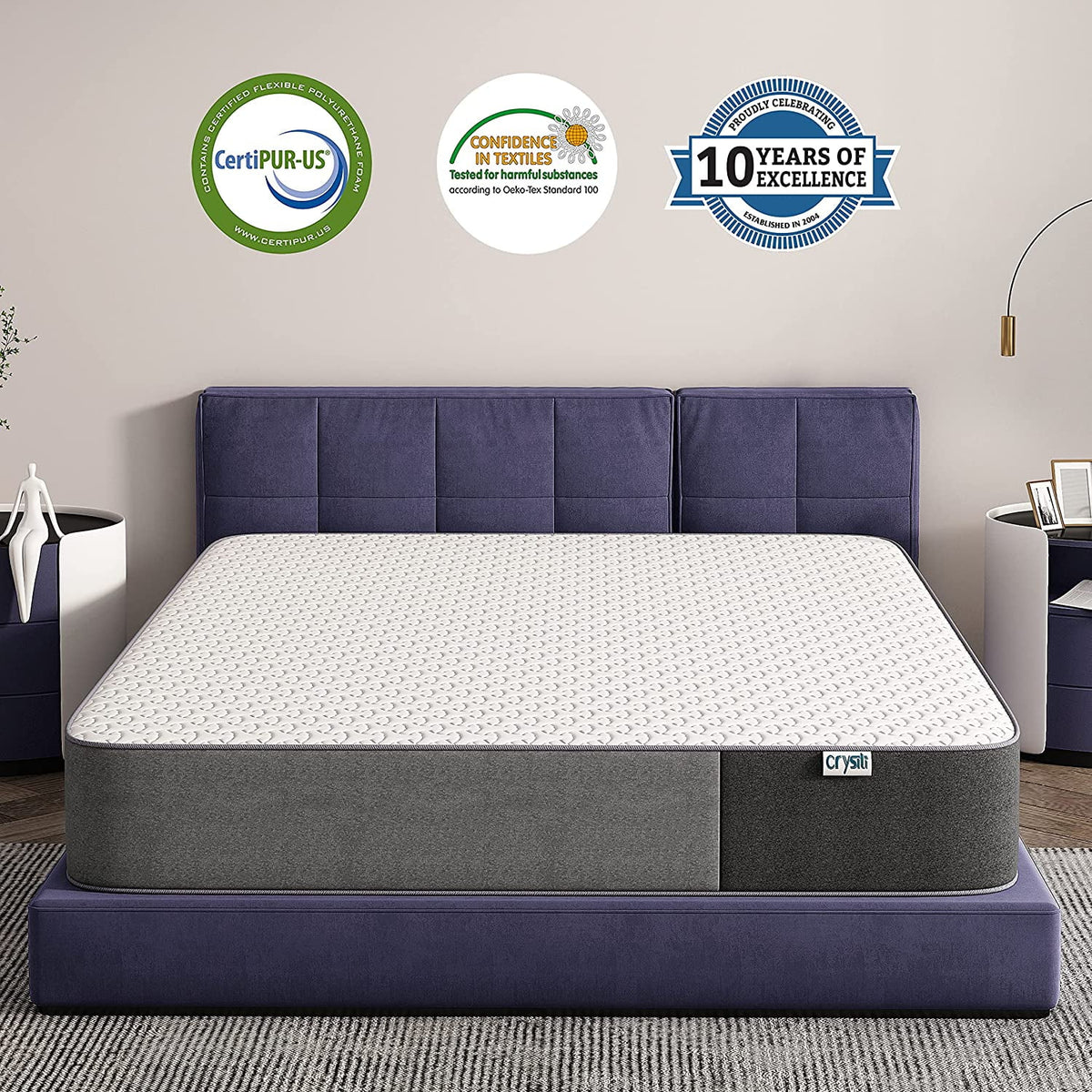 10 Inch Gel-Infused Memory Foam Pillow Top Twin Size Mattress S625