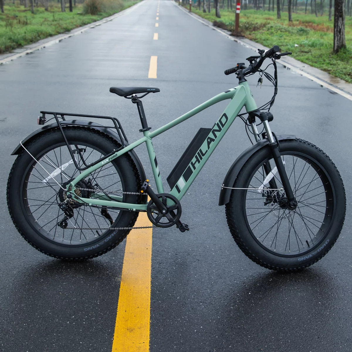 750W 48V 26 Fat Tire Electric Mountain Bike V497913