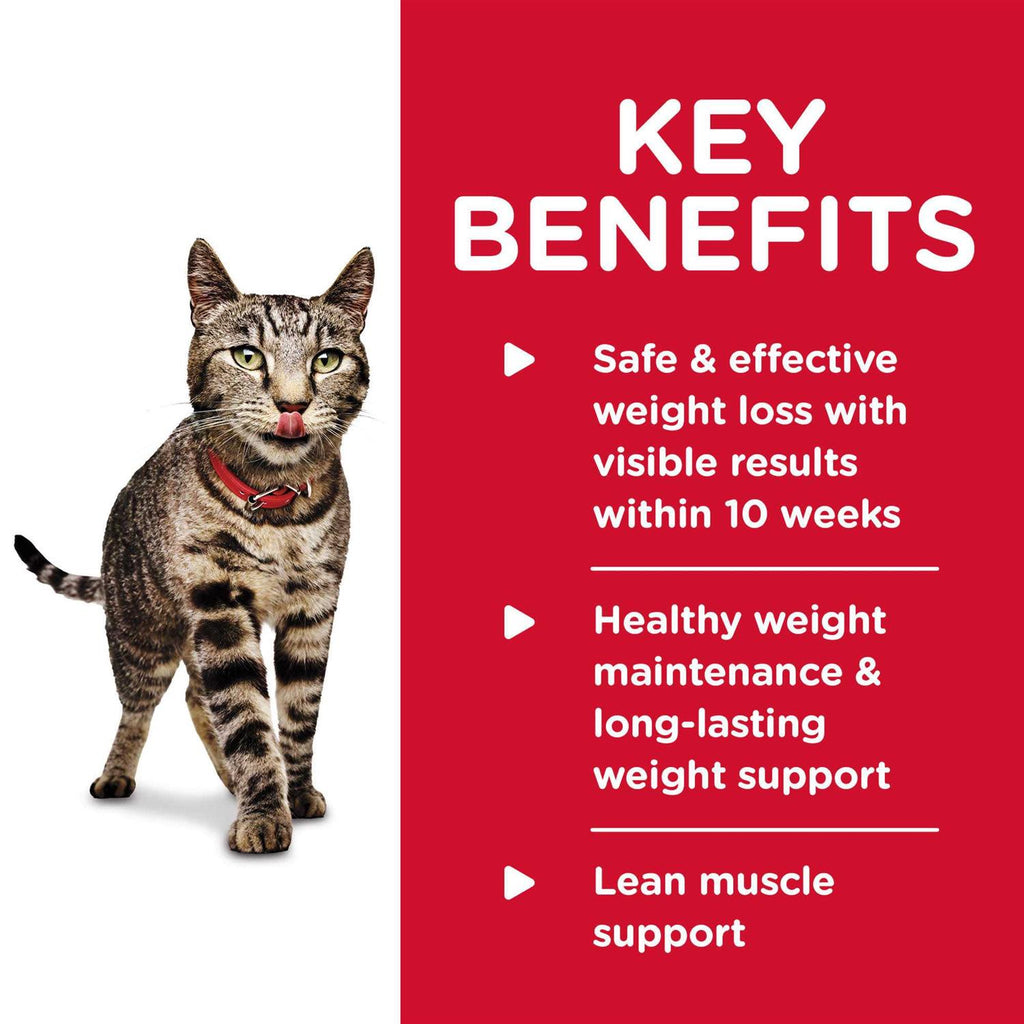 Adult Perfect Weight Roasted Vegetable & Chicken Medley Cat Food S350