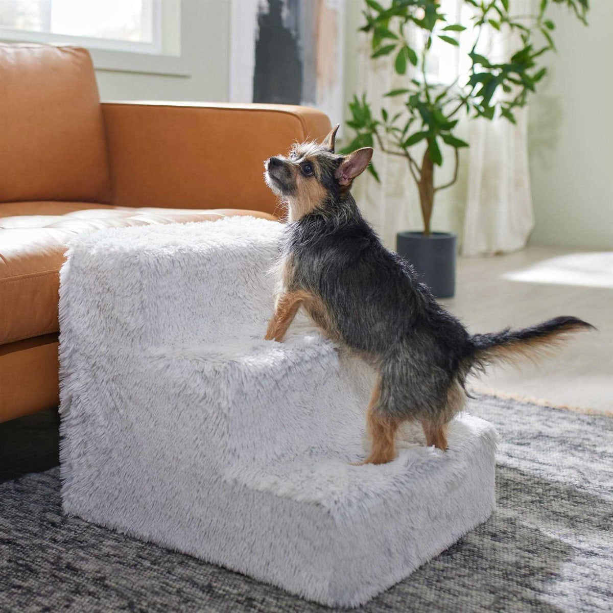 Foam Step J258