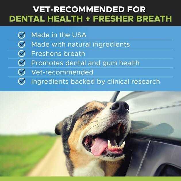 Oral Hygiene Dental Water 3-Pack 24 Ounces Pet Supplements F752