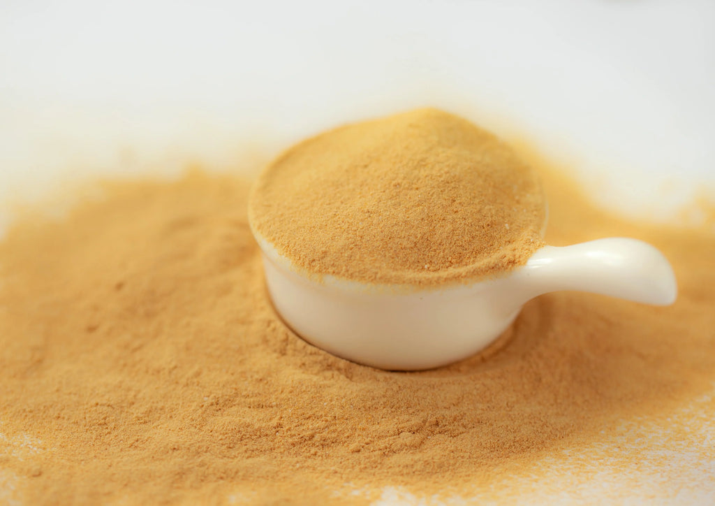 Papaya Powder 5 Pounds O478