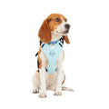 Teal Dog Harness O300241