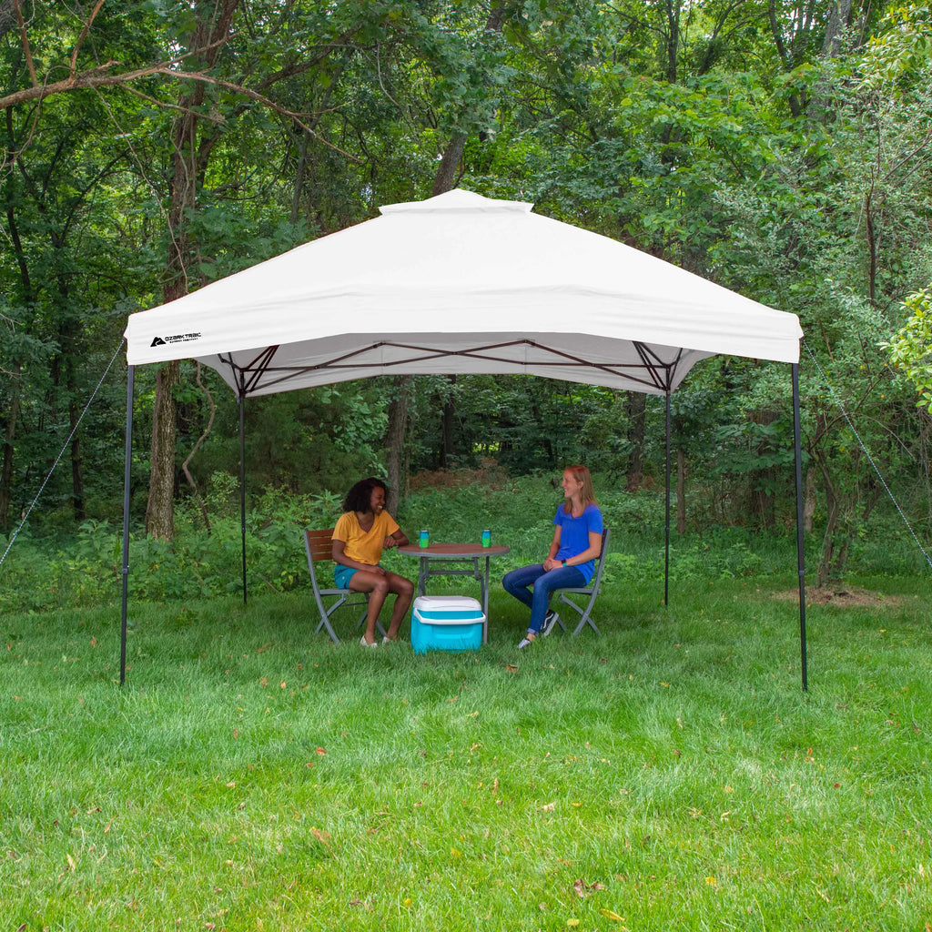 10' x 10' Dual Peak Canopy W8240