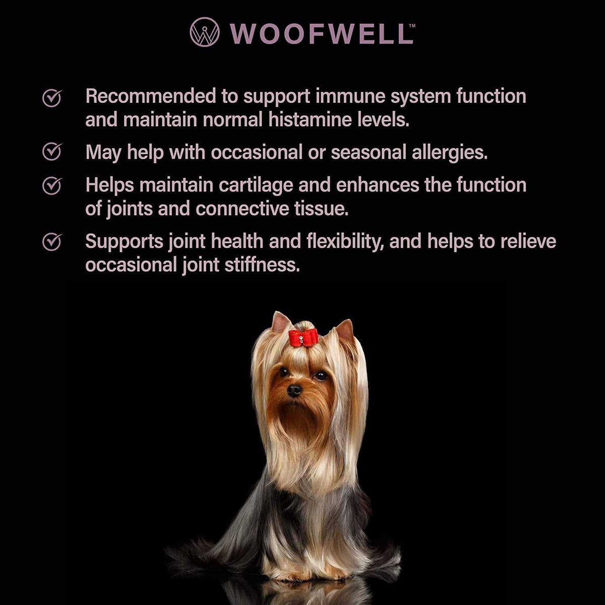 Yorkshire Terrier Health Support Supplement Y759