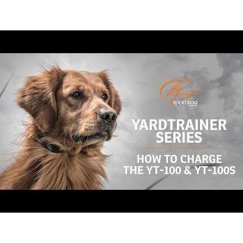 Dog Training Collar W97763