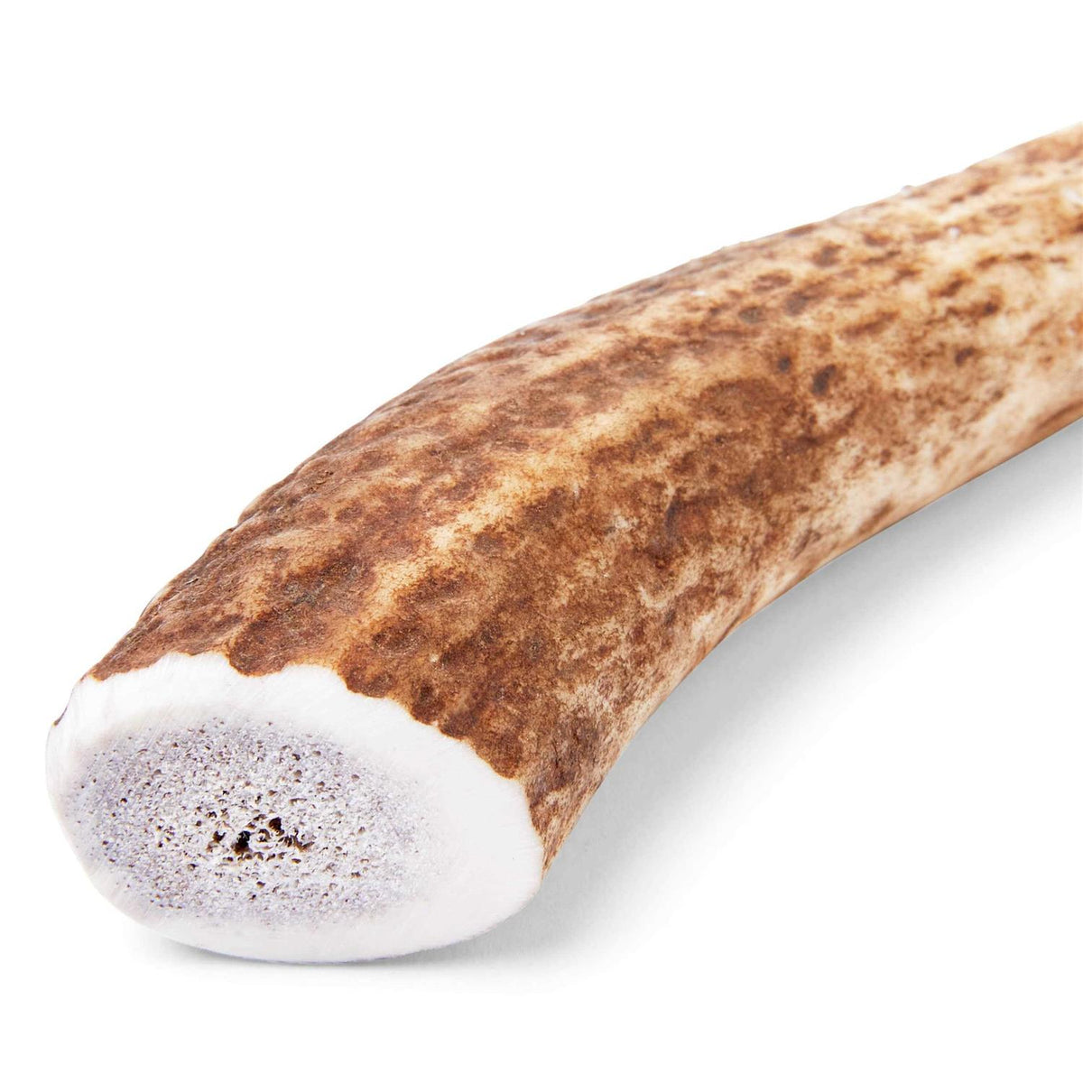 Whole Elk Antler Dog Chew G78318