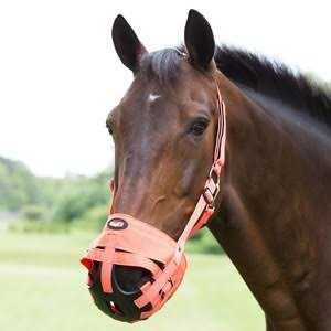 Poly Grazing Muzzle T2584