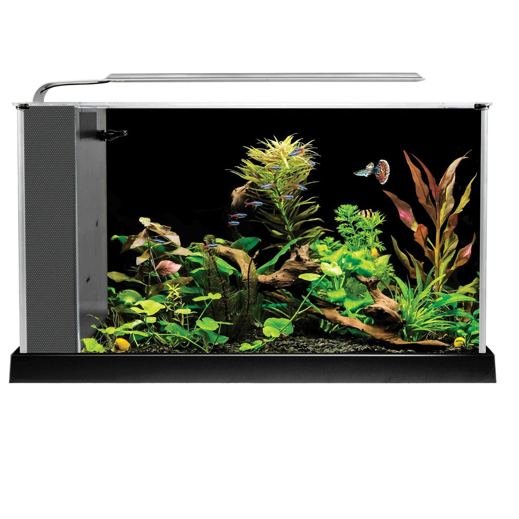 Aquarium X940218