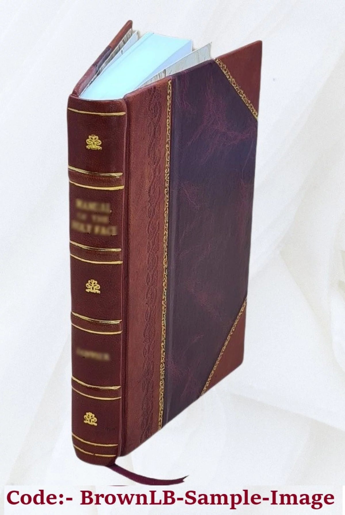 Erzählung aus den Schriften einer Waldpfarrers L56504