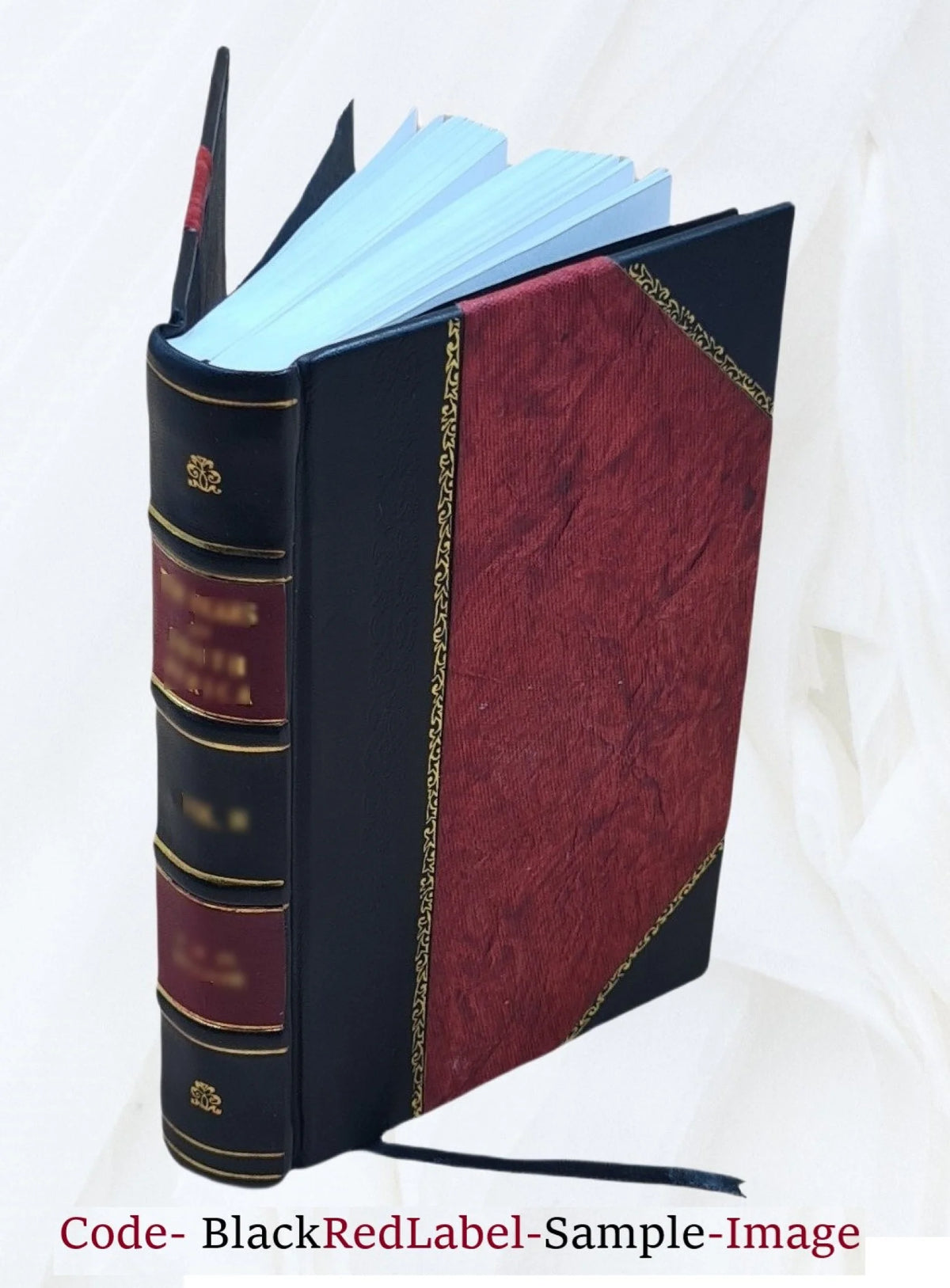 Erzählung aus den Schriften einer Waldpfarrers L56504