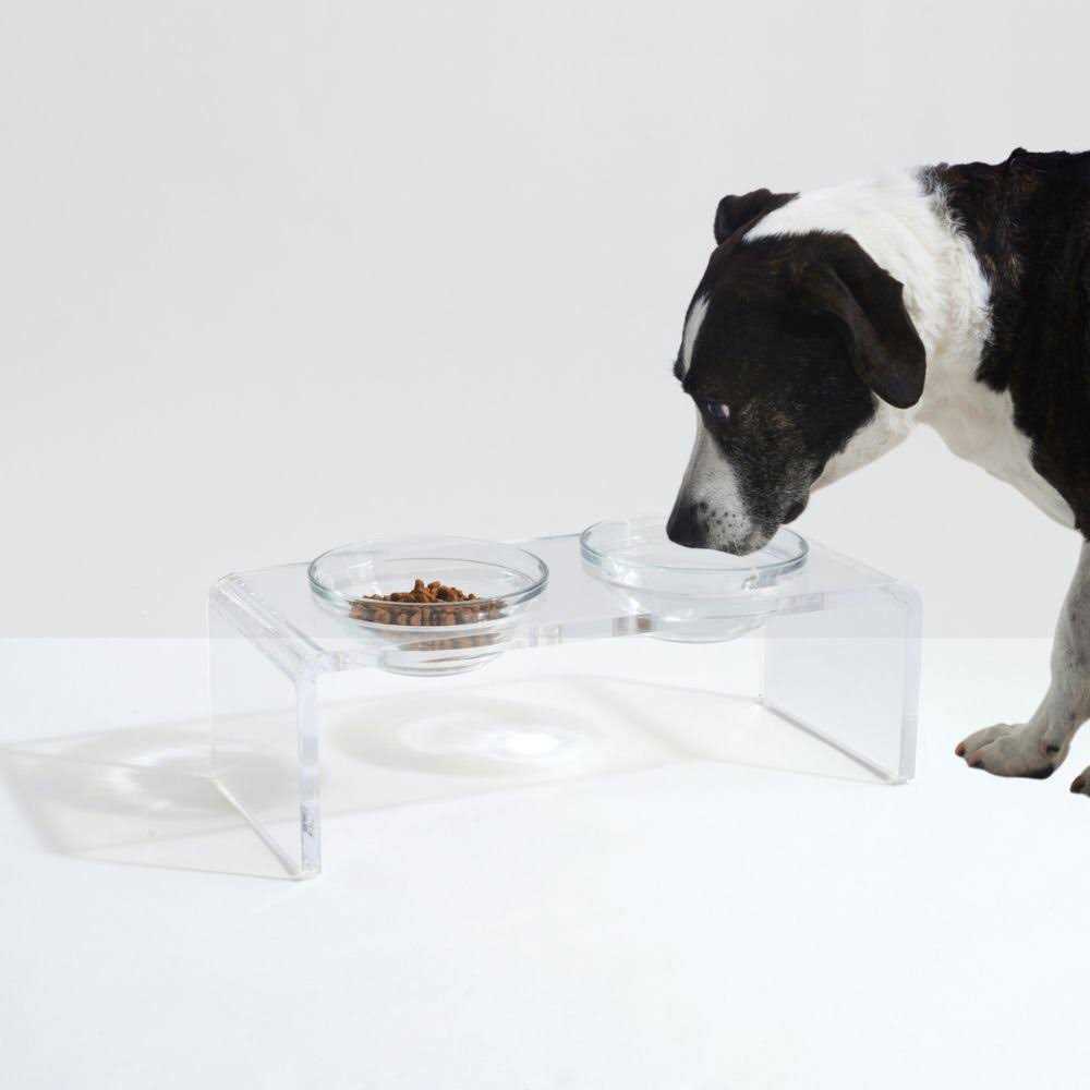 Clear Elevated Glass Bowl Feeder R74310