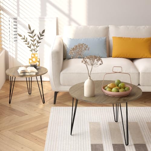 Round Nesting Coffee Table Set of 2 with Marble Tabletop Q854179